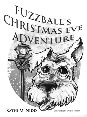 cover image of Fuzzball's Christmas Eve Adventure
